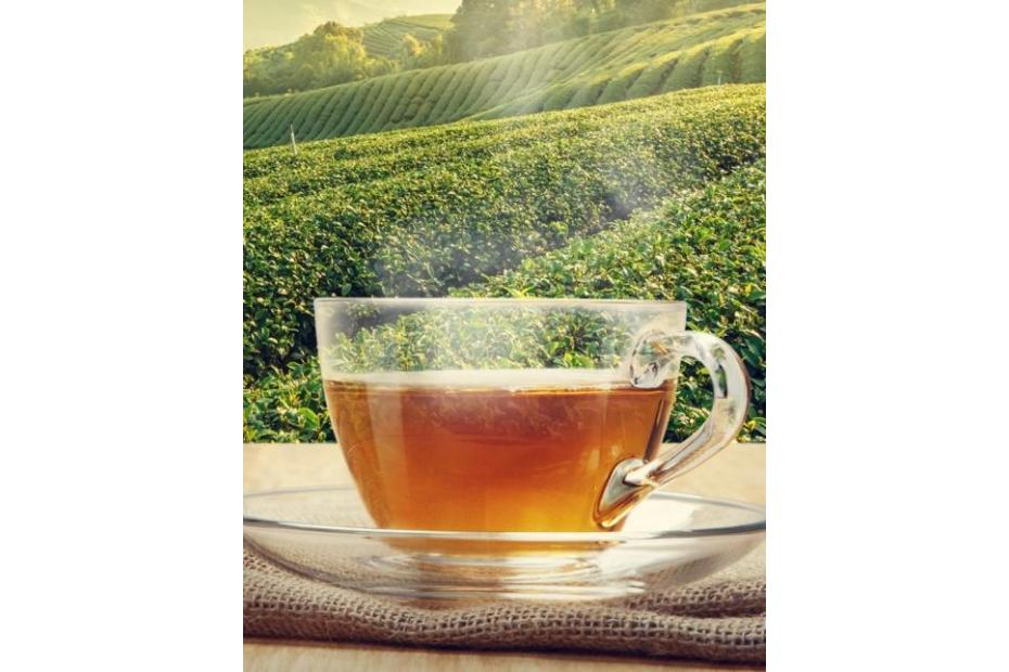 Best Tea Recipes for Digestion 